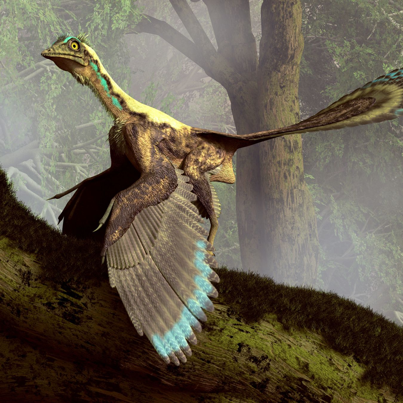 archaeopteryx-litographica